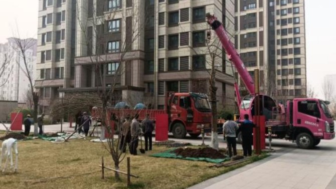 植此青綠映匠心 品質家園煥新顏 ——百酈榮錦苑項目開展春季園林補種活動